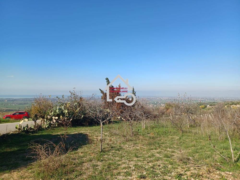 immagine annuncio 12 di 14