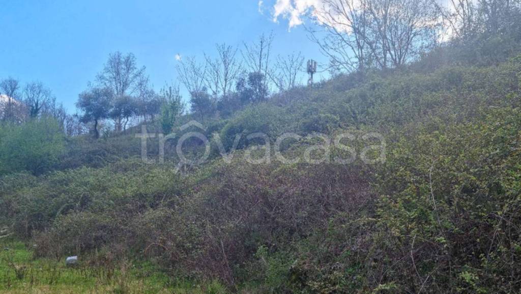 immagine annuncio 7 di 12