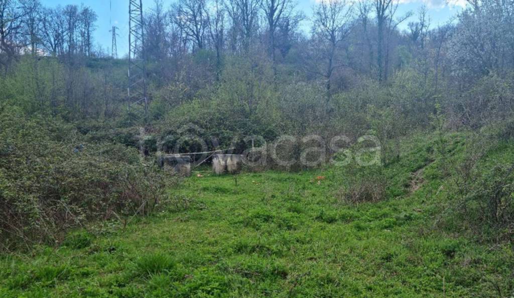 immagine annuncio 8 di 12