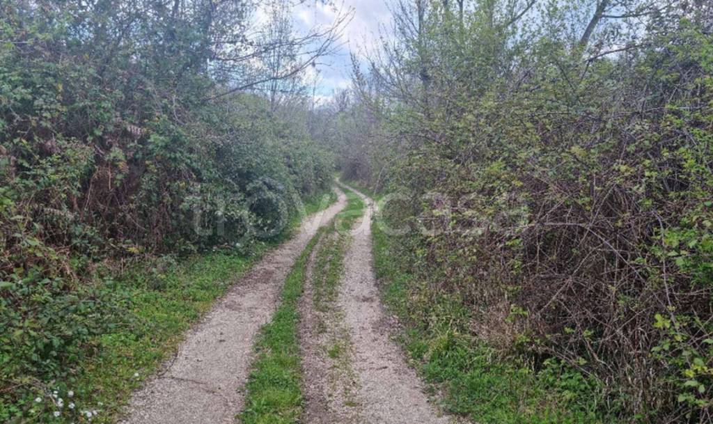 immagine annuncio 9 di 12