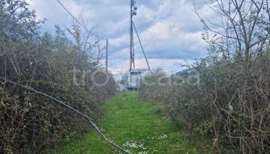 immagine annuncio 11 di 12