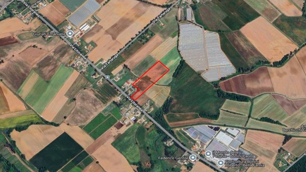 immagine annuncio 11 di 13