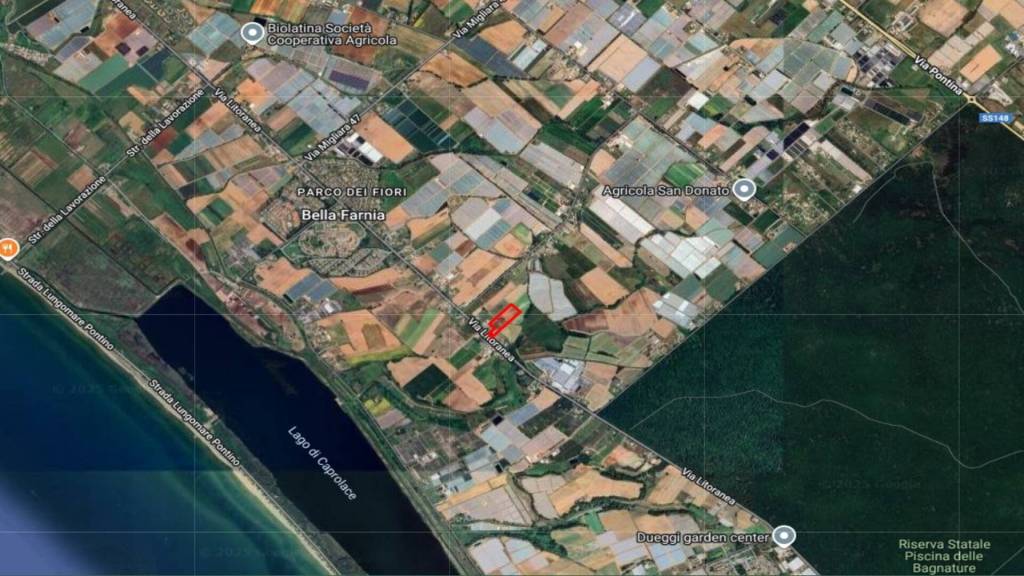 immagine annuncio 12 di 13