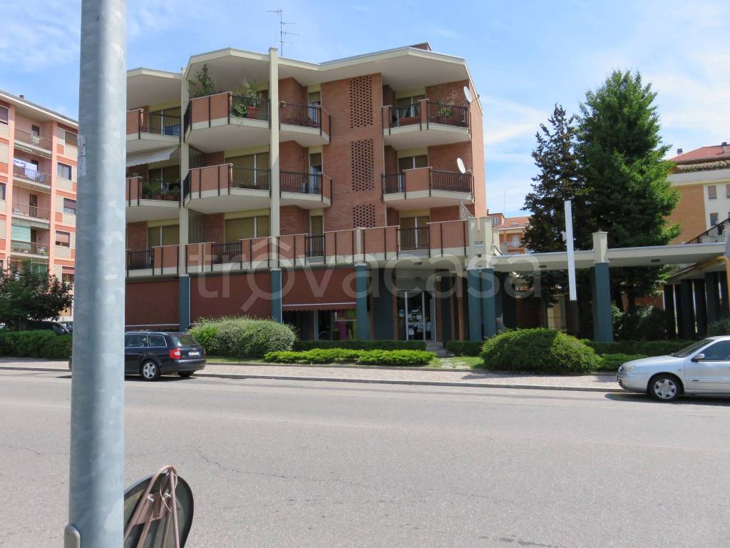 immagine annuncio 12 di 14