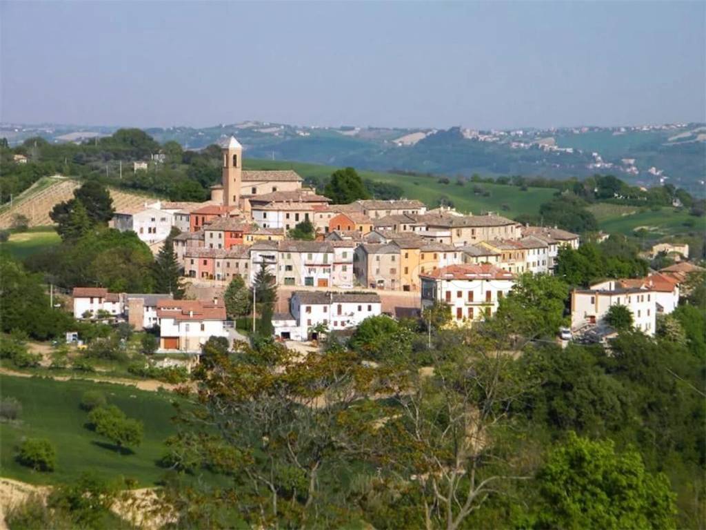 immagine annuncio 4 di 13