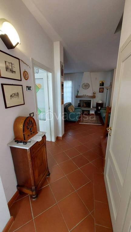 immagine annuncio 11 di 13