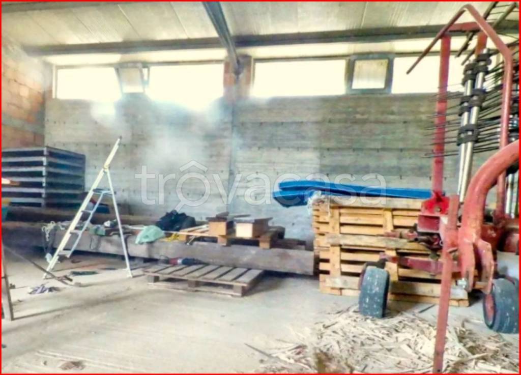 immagine annuncio 9 di 12