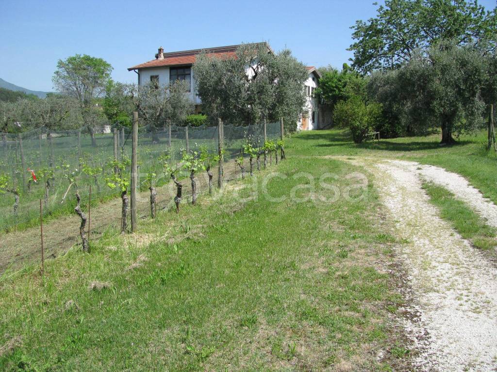 immagine annuncio 3 di 6