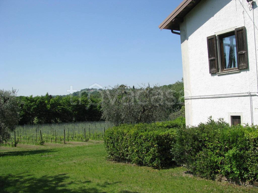 immagine annuncio 5 di 6