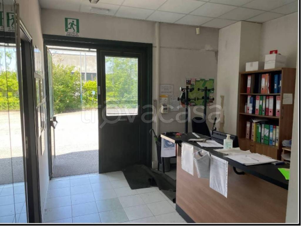 immagine annuncio 1 di 11