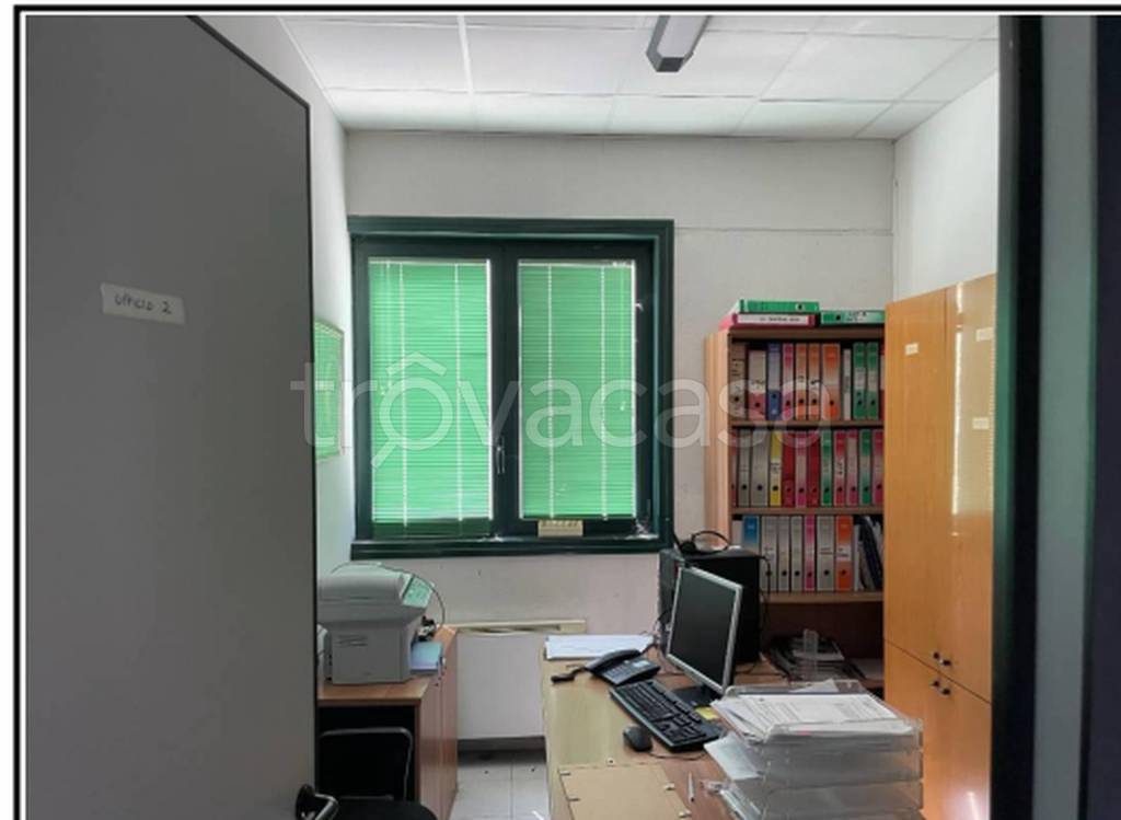 immagine annuncio 3 di 11