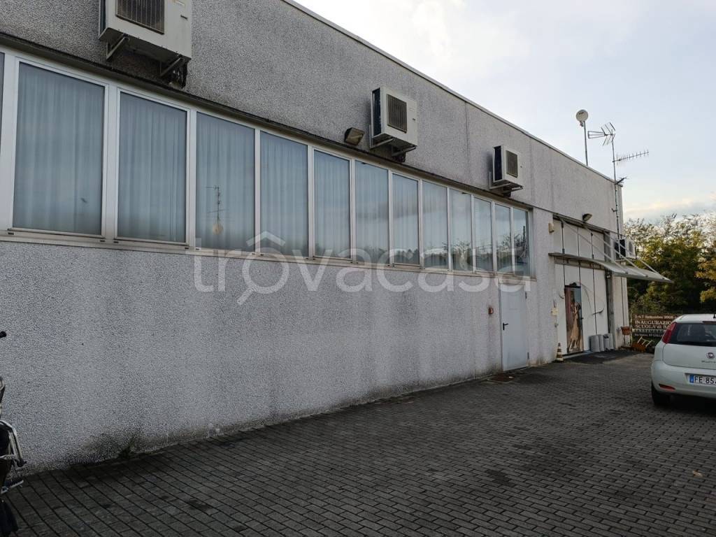 immagine annuncio 5 di 11