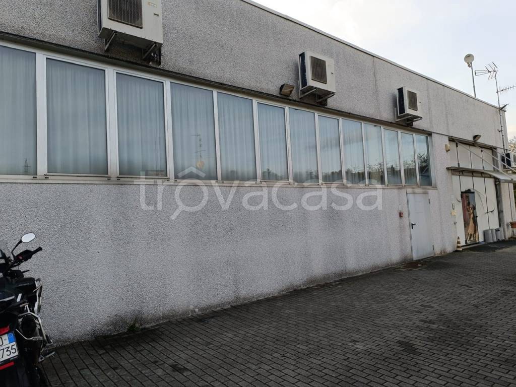 immagine annuncio 6 di 11