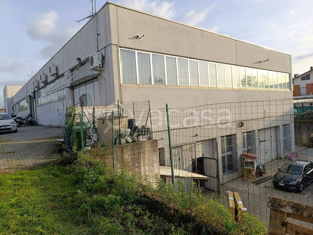 immagine annuncio 7 di 11