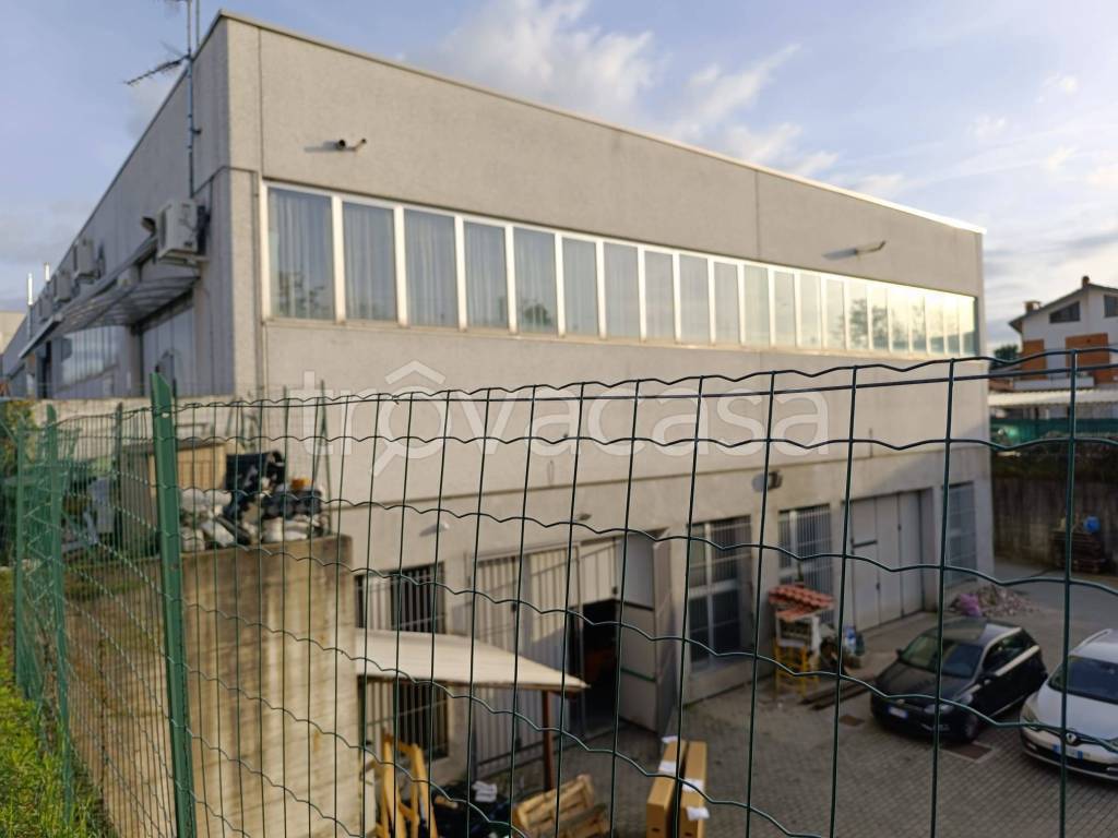 immagine annuncio 8 di 11