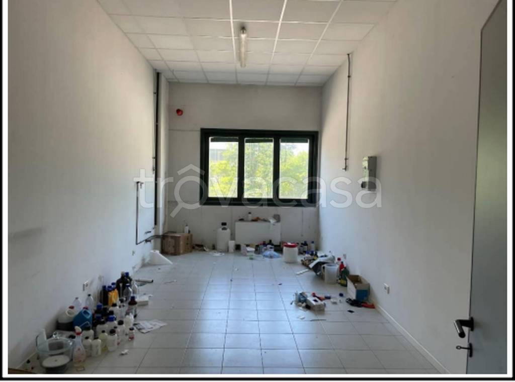 immagine annuncio 7 di 11