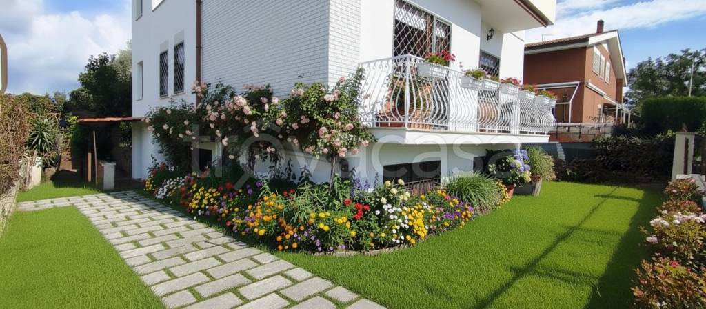 immagine annuncio 11 di 15