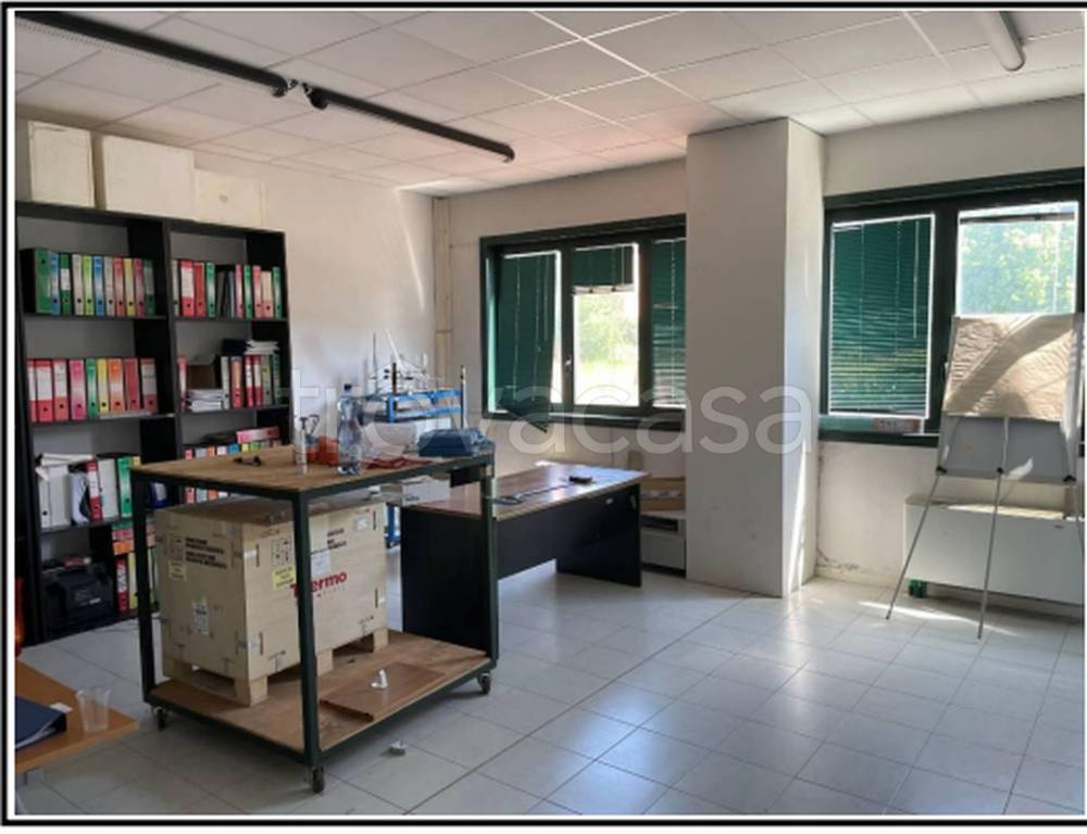 immagine annuncio 8 di 11