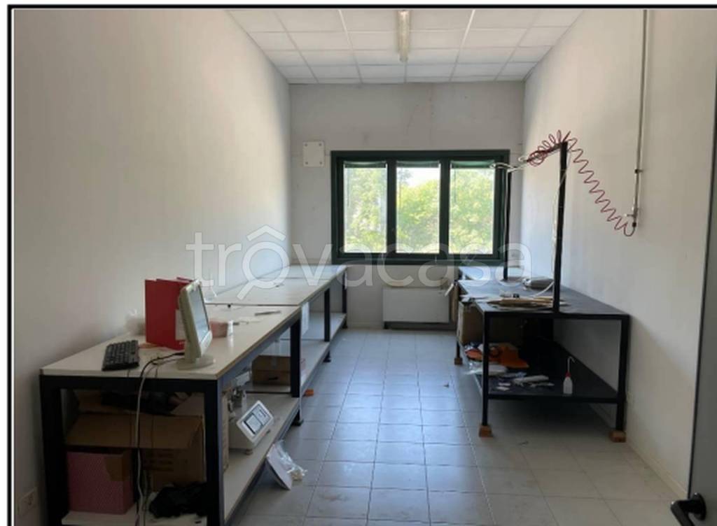 immagine annuncio 9 di 11