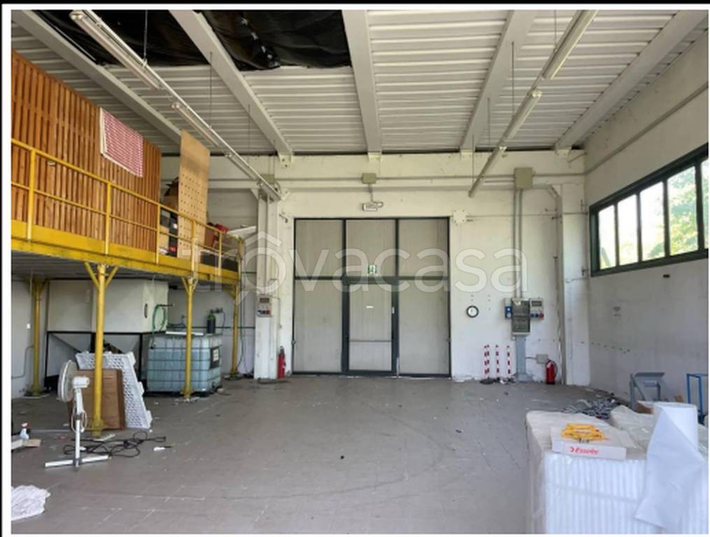 immagine annuncio 10 di 11