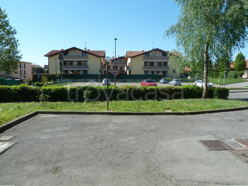 immagine annuncio 6 di 15