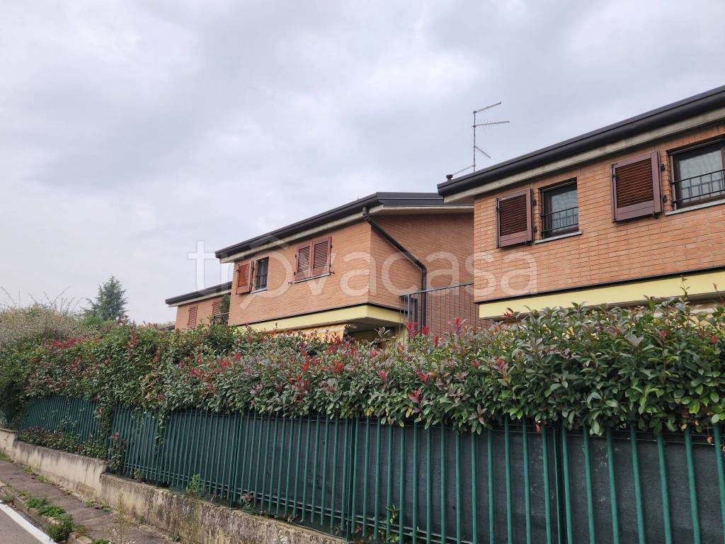 immagine annuncio 2 di 15