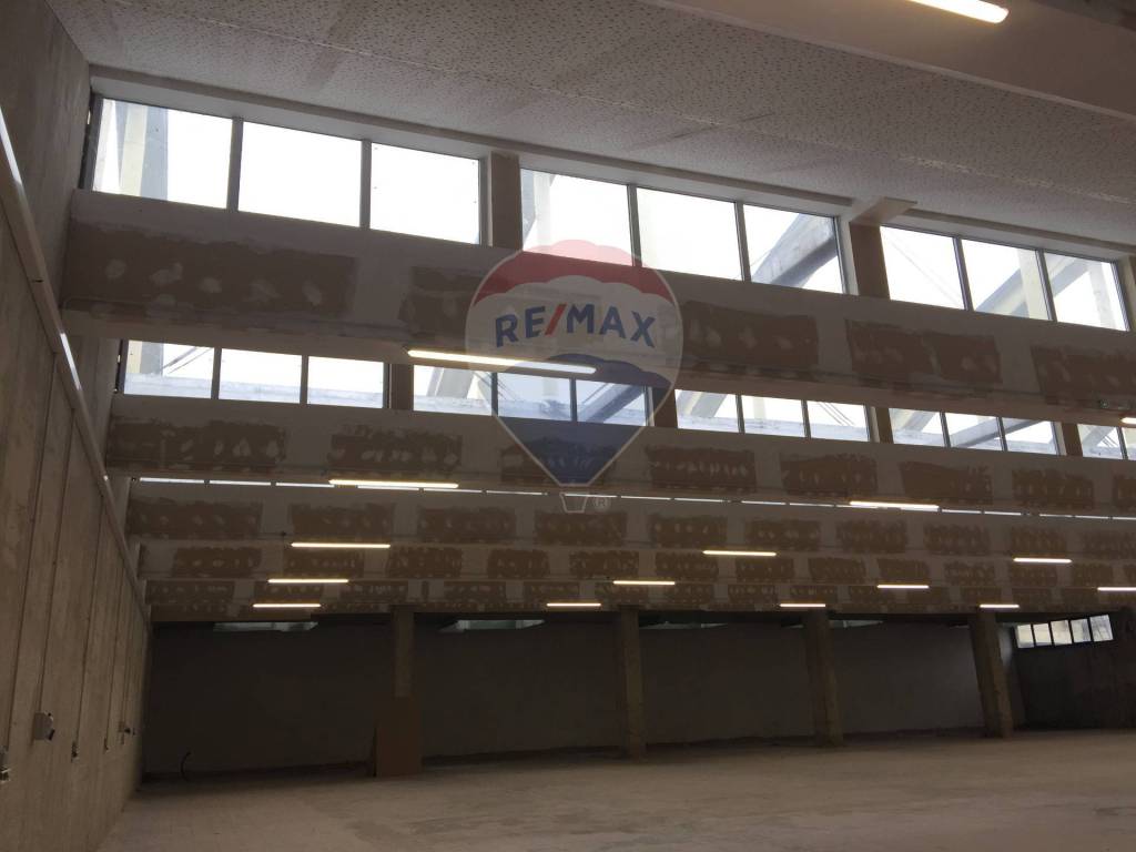 immagine annuncio 4 di 7