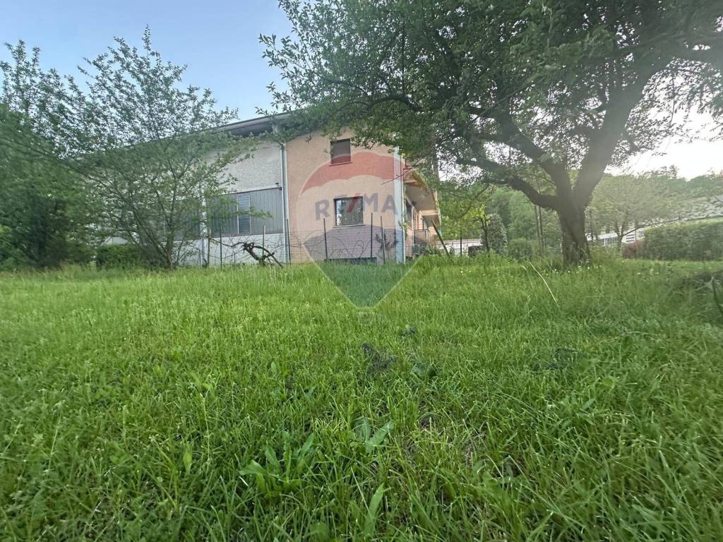 immagine annuncio 12 di 13