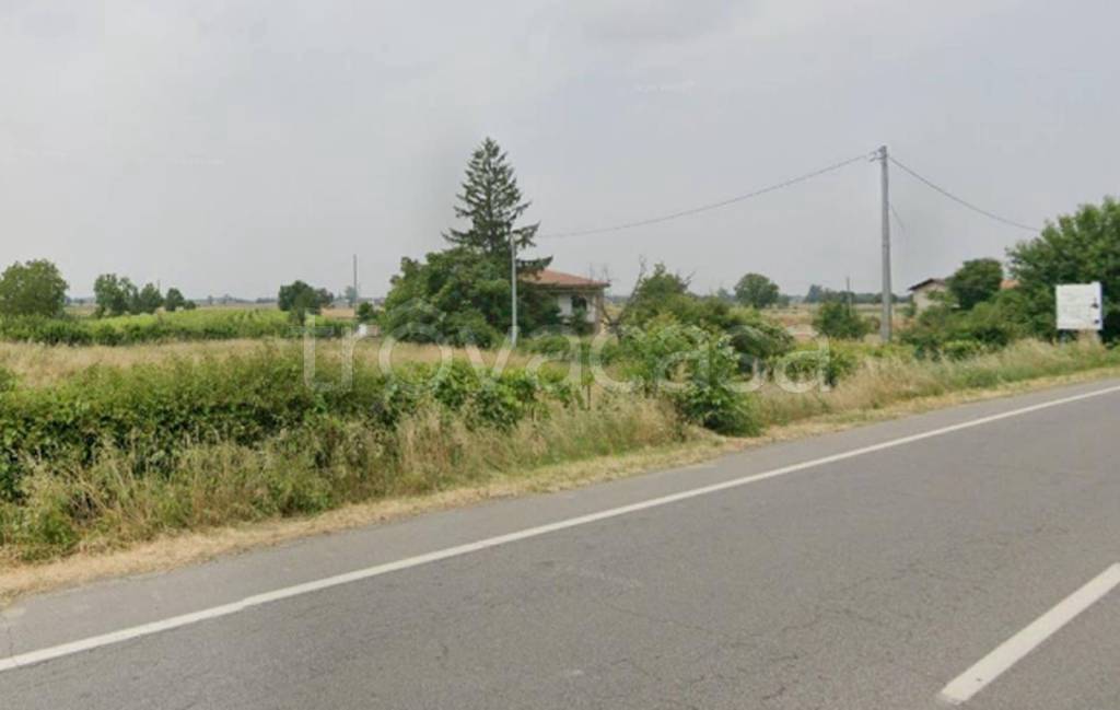 immagine annuncio 6 di 11