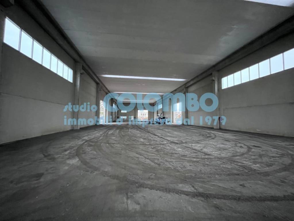 immagine annuncio 4 di 8