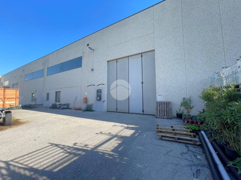 immagine annuncio 4 di 10