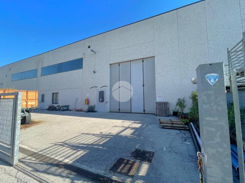 immagine annuncio 9 di 10