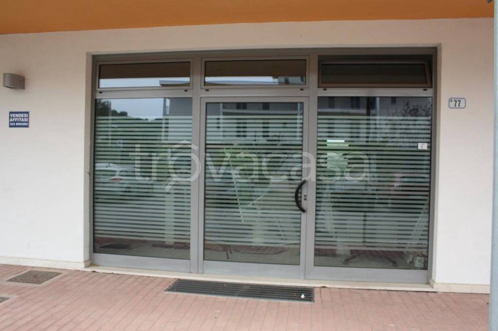 immagine annuncio 3 di 11