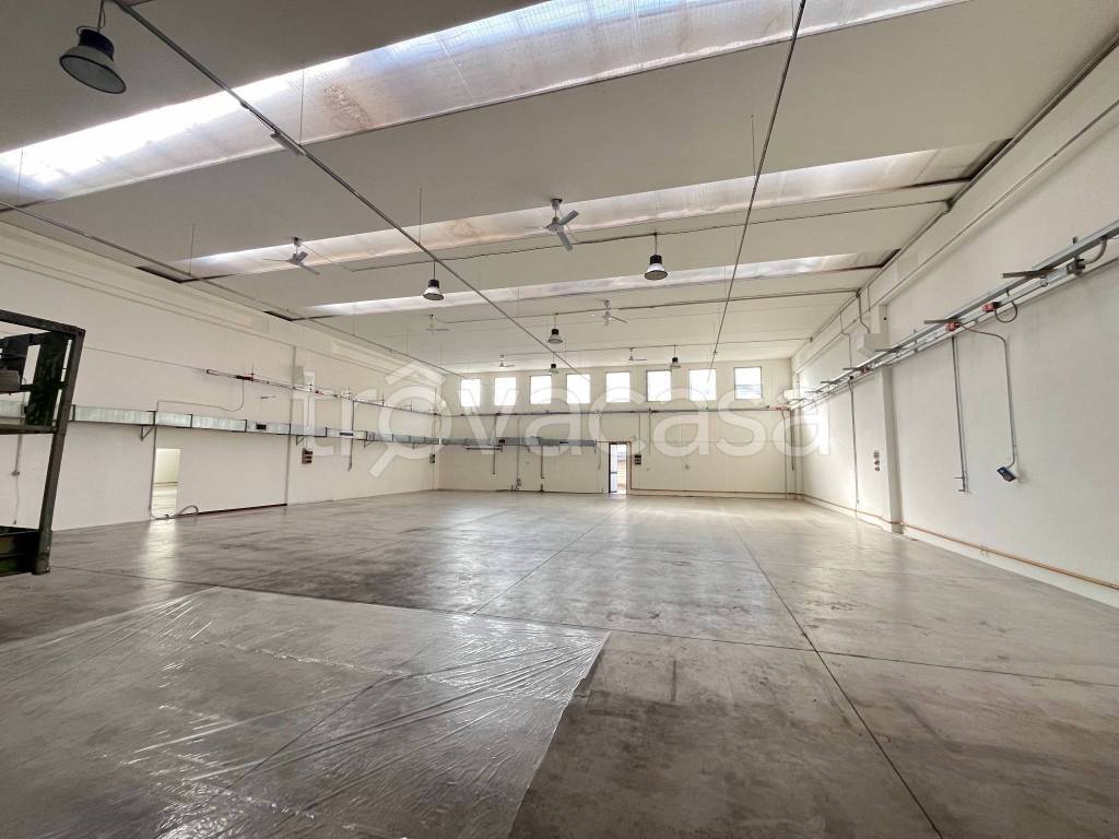 immagine annuncio 4 di 13