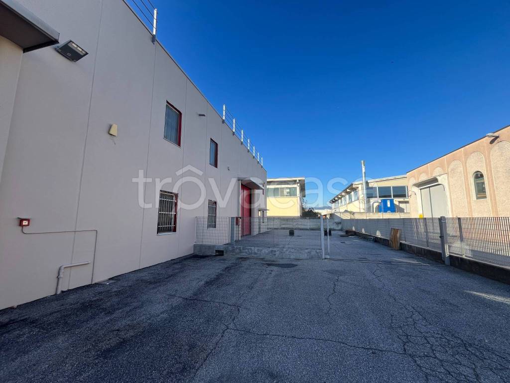 immagine annuncio 5 di 13