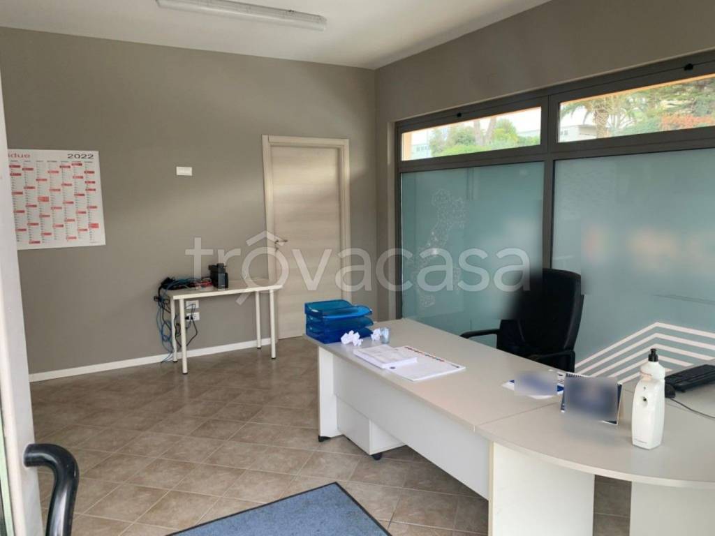 immagine annuncio 2 di 11