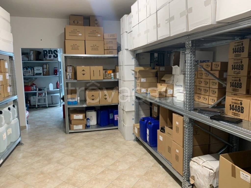 immagine annuncio 3 di 11