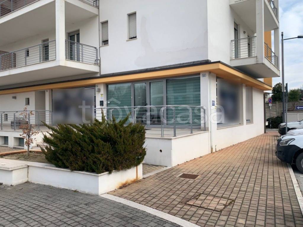 immagine annuncio 10 di 11