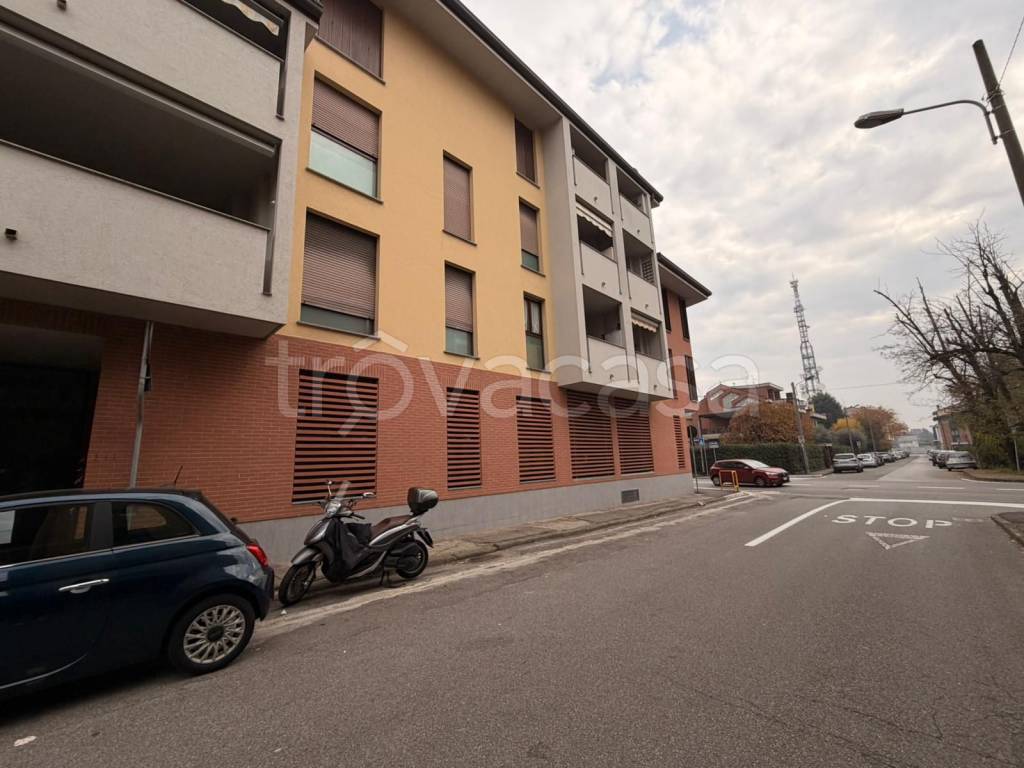 immagine annuncio 4 di 15