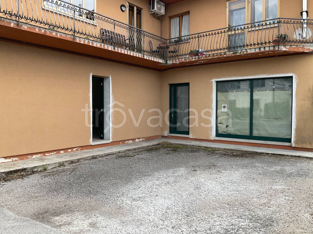 immagine annuncio 11 di 14