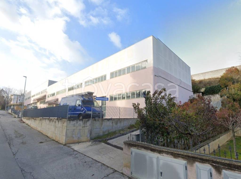 immagine annuncio 6 di 11