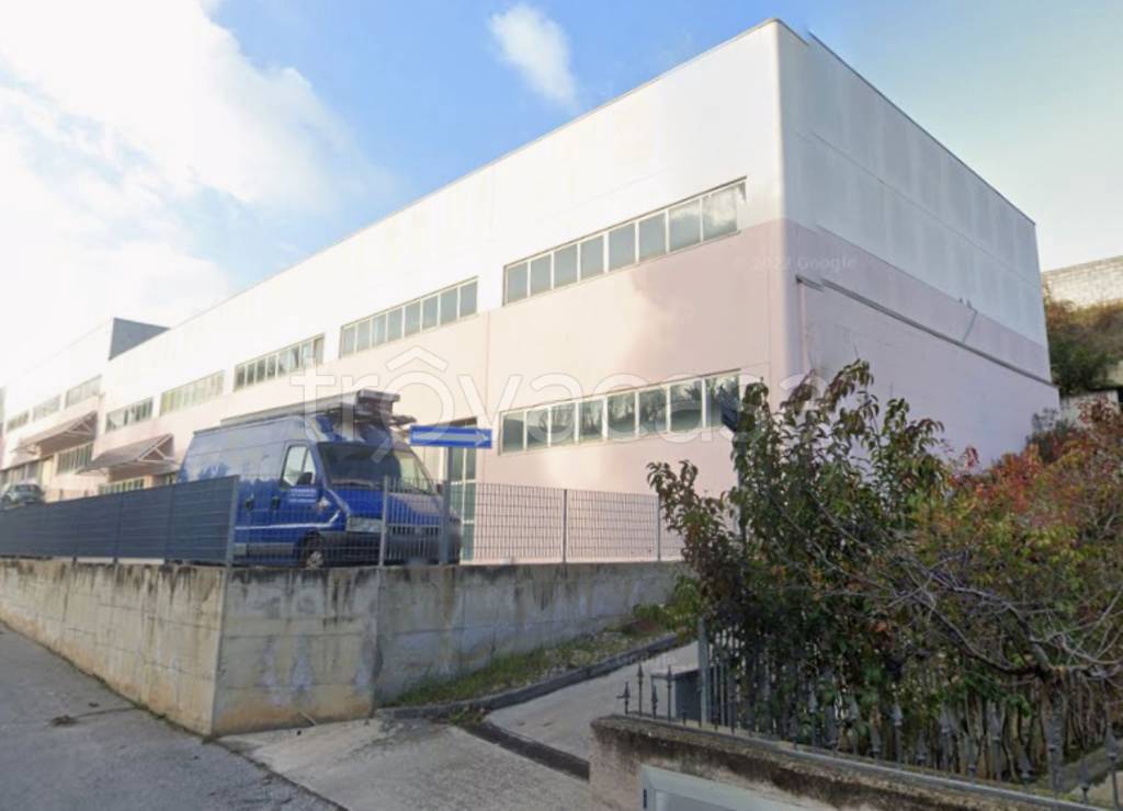 immagine annuncio 9 di 11