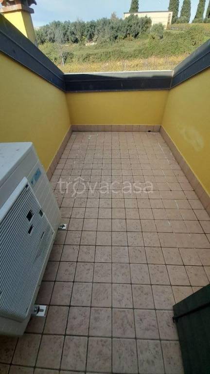 immagine annuncio 10 di 12