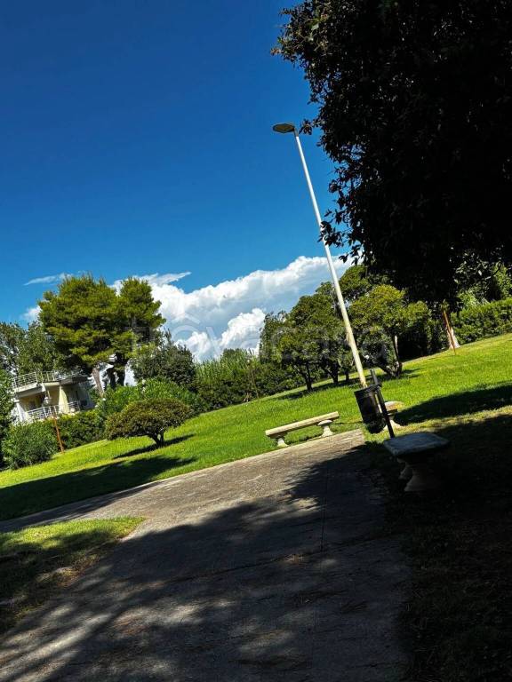 immagine annuncio 3 di 7