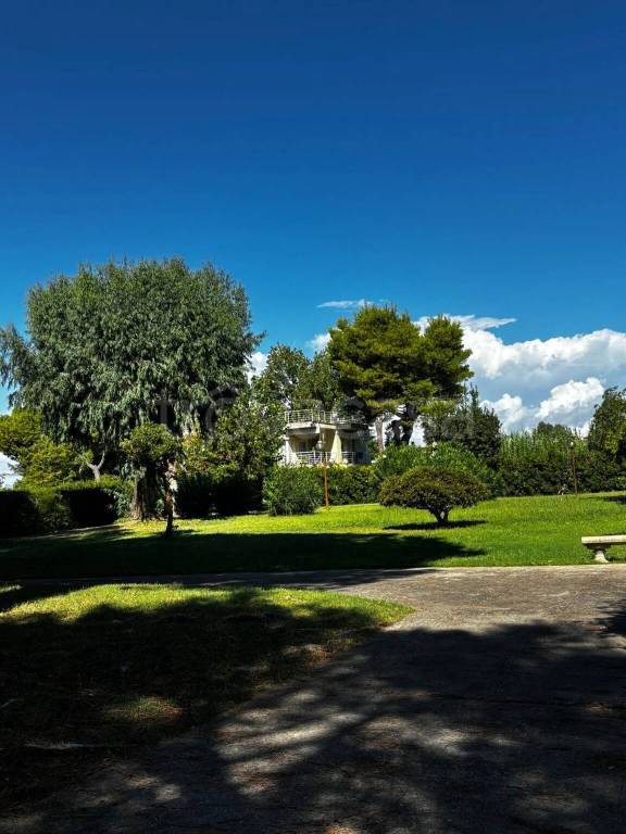 immagine annuncio 4 di 7