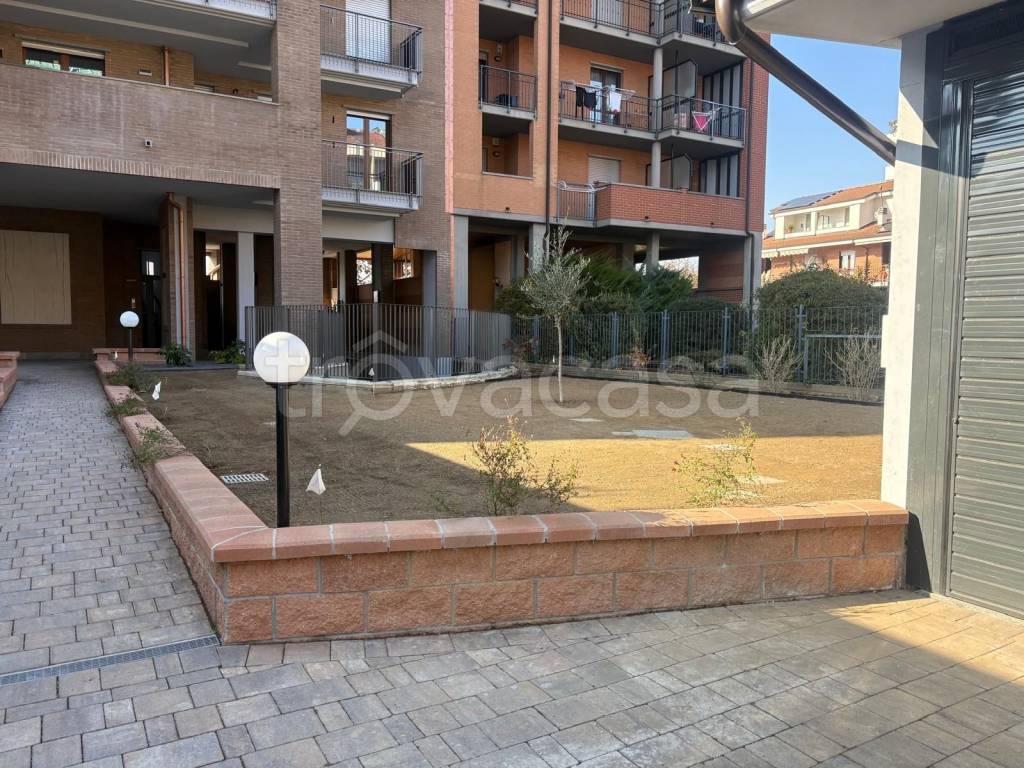 immagine annuncio 9 di 15