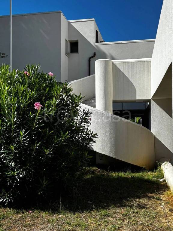 immagine annuncio 6 di 7