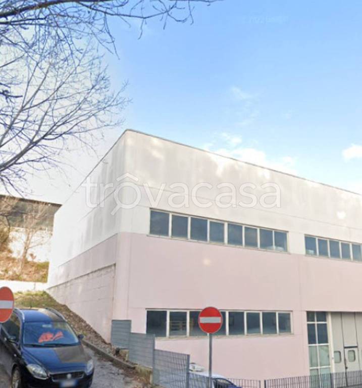 immagine annuncio 4 di 14