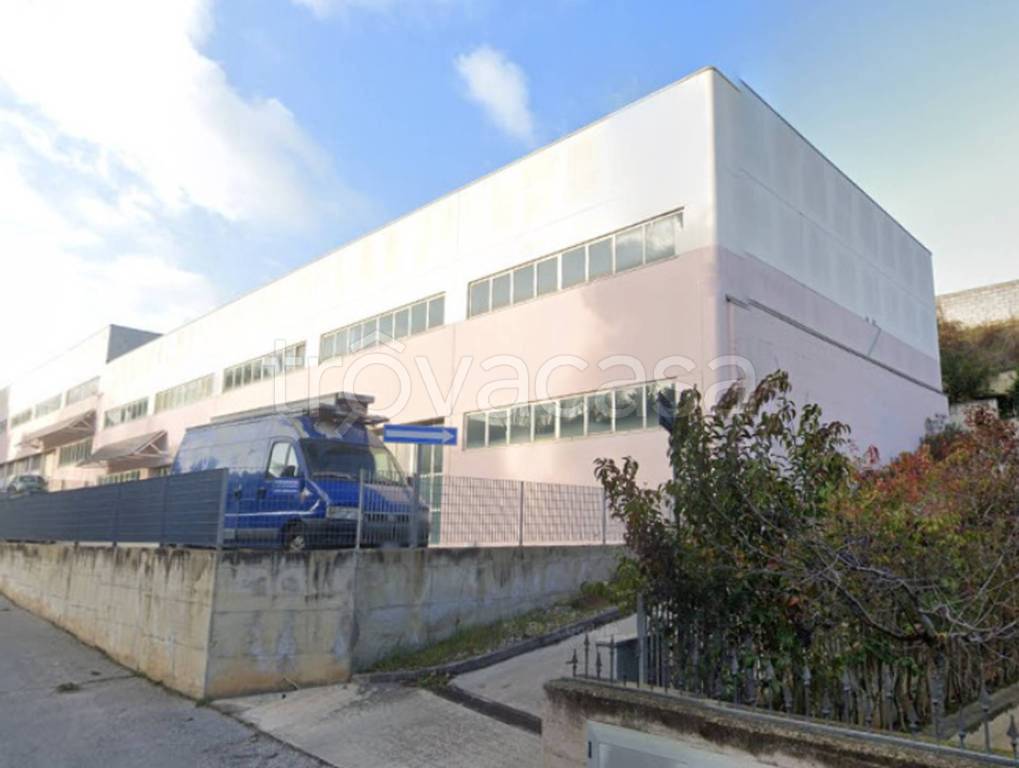 immagine annuncio 5 di 14