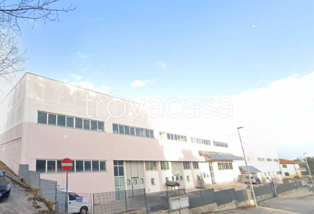 immagine annuncio 6 di 14